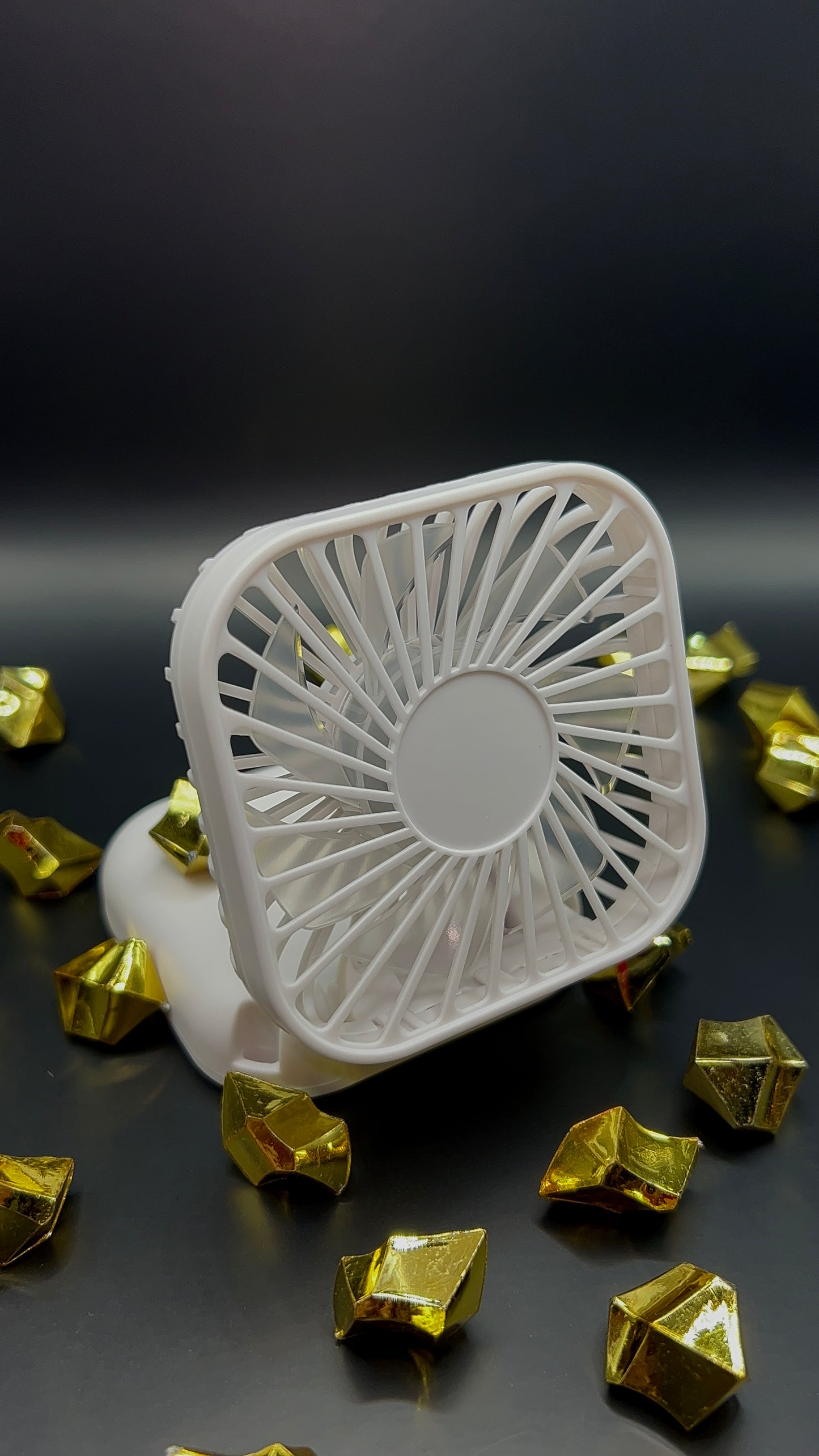 Portable Fan